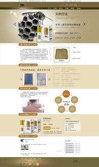 網頁設計指南 從初稿到專業作品的進階之路